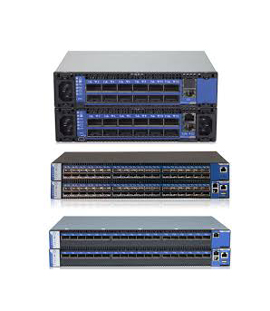 Mellanox Routers